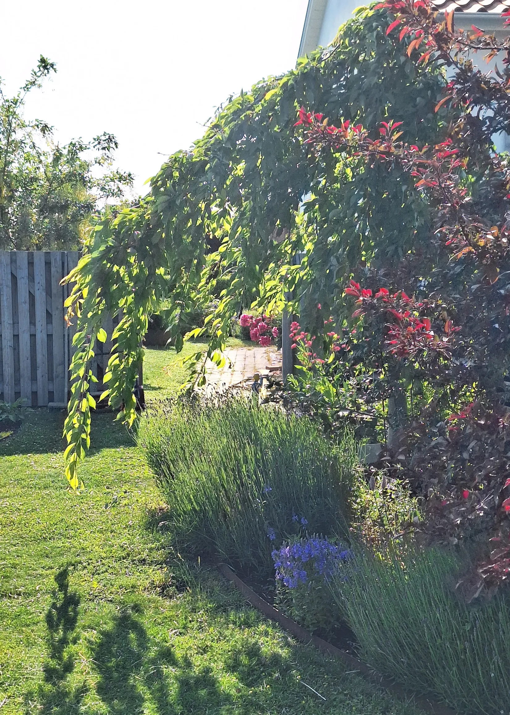 Villa, Stenhuggarvägen 15, Simrislund, Simrishamn