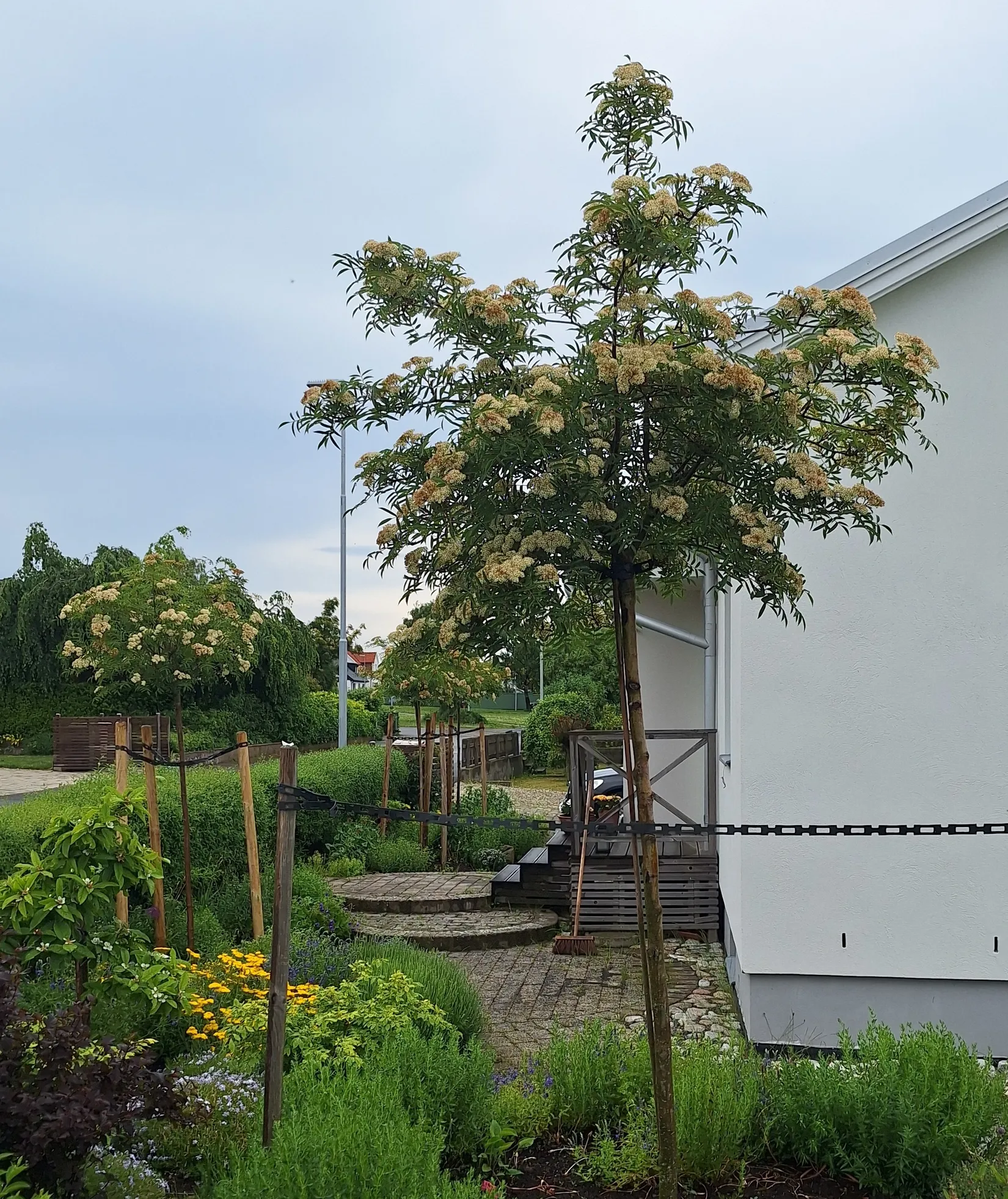 Villa, Stenhuggarvägen 15, Simrislund, Simrishamn