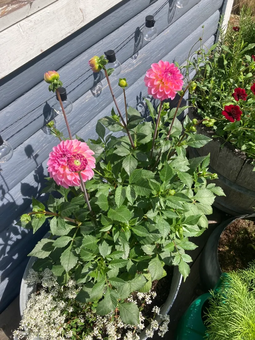 Villa, Runmarö Kila 718, Runmarö, Värmdö