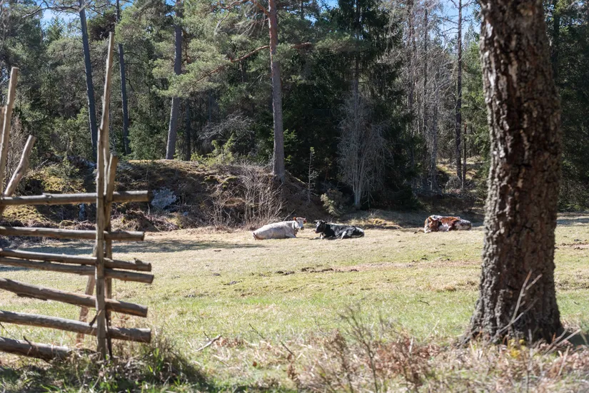 Fritidshus, Runmarö Kila 718, Runmarö, Värmdö