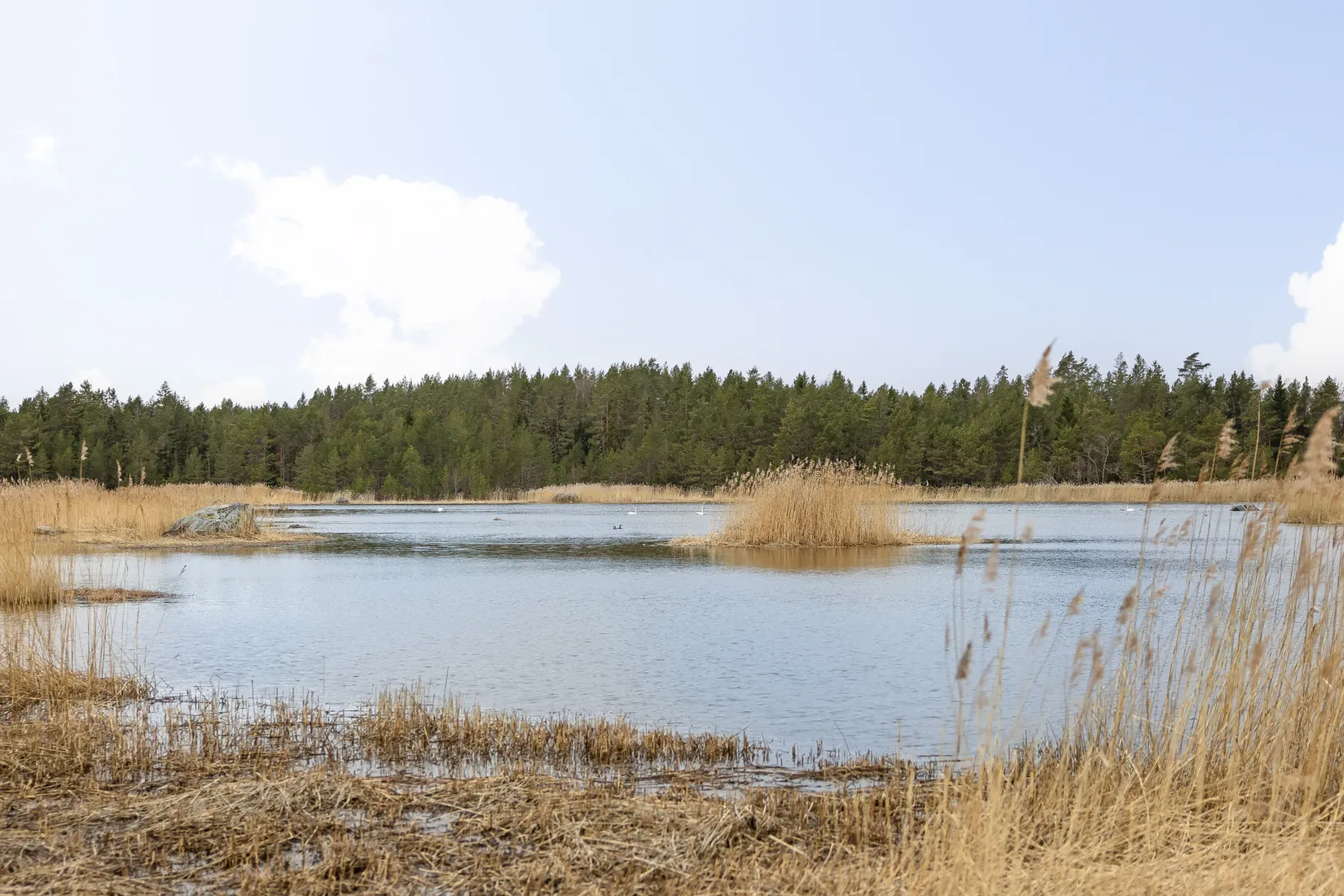 Fritidshus, Gräsharen 10, Eskön, Gävle