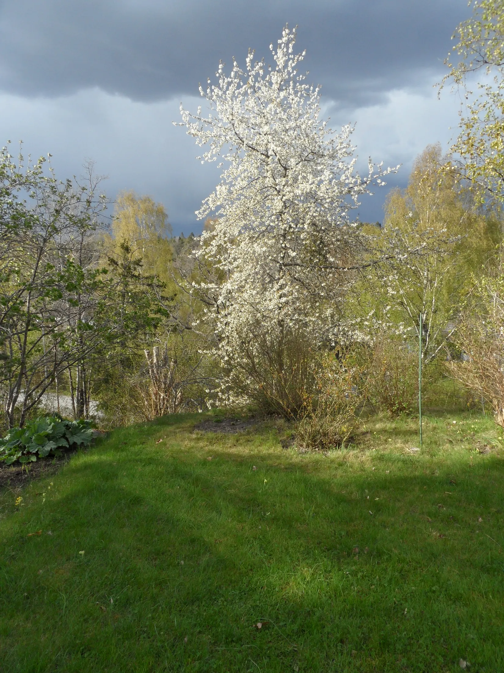 Villa, Torsbyvägen 3, Torsby, Värmdö