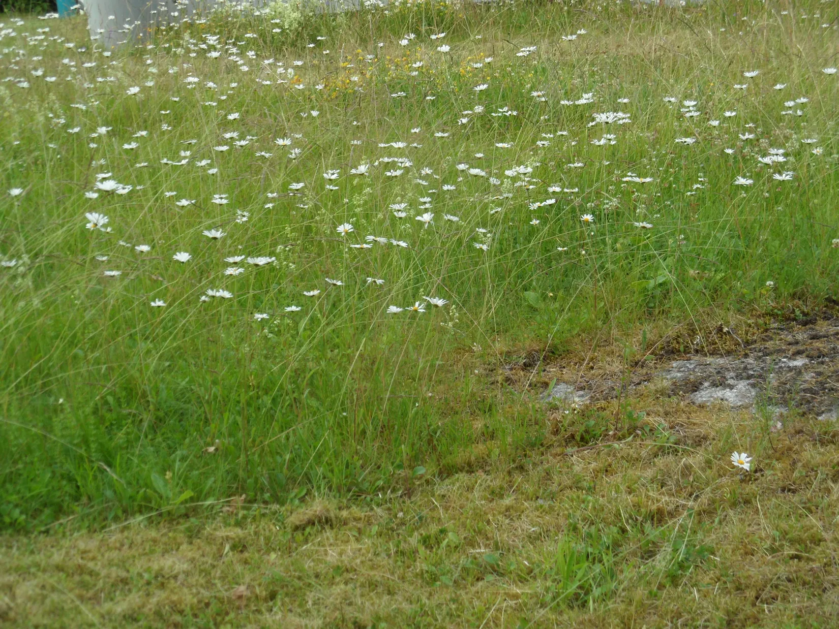 Villa, Torsbyvägen 3, Torsby, Värmdö