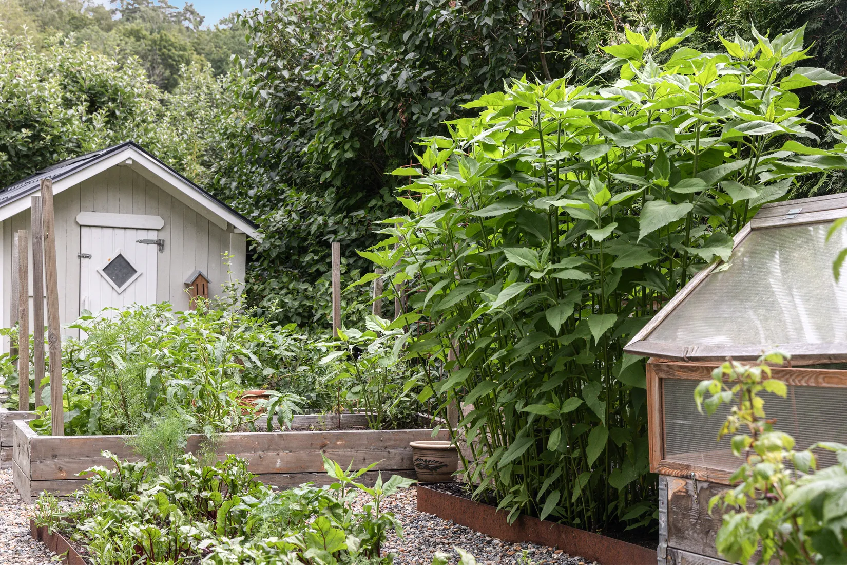 Villa, Södra Forsåkersgatan 74, Mölndal - Hulelyckan, Mölndal