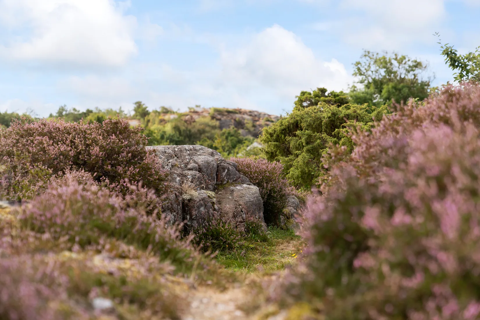 Fritidshus, Skaftö Koskär 372, Skaftö, Lysekil