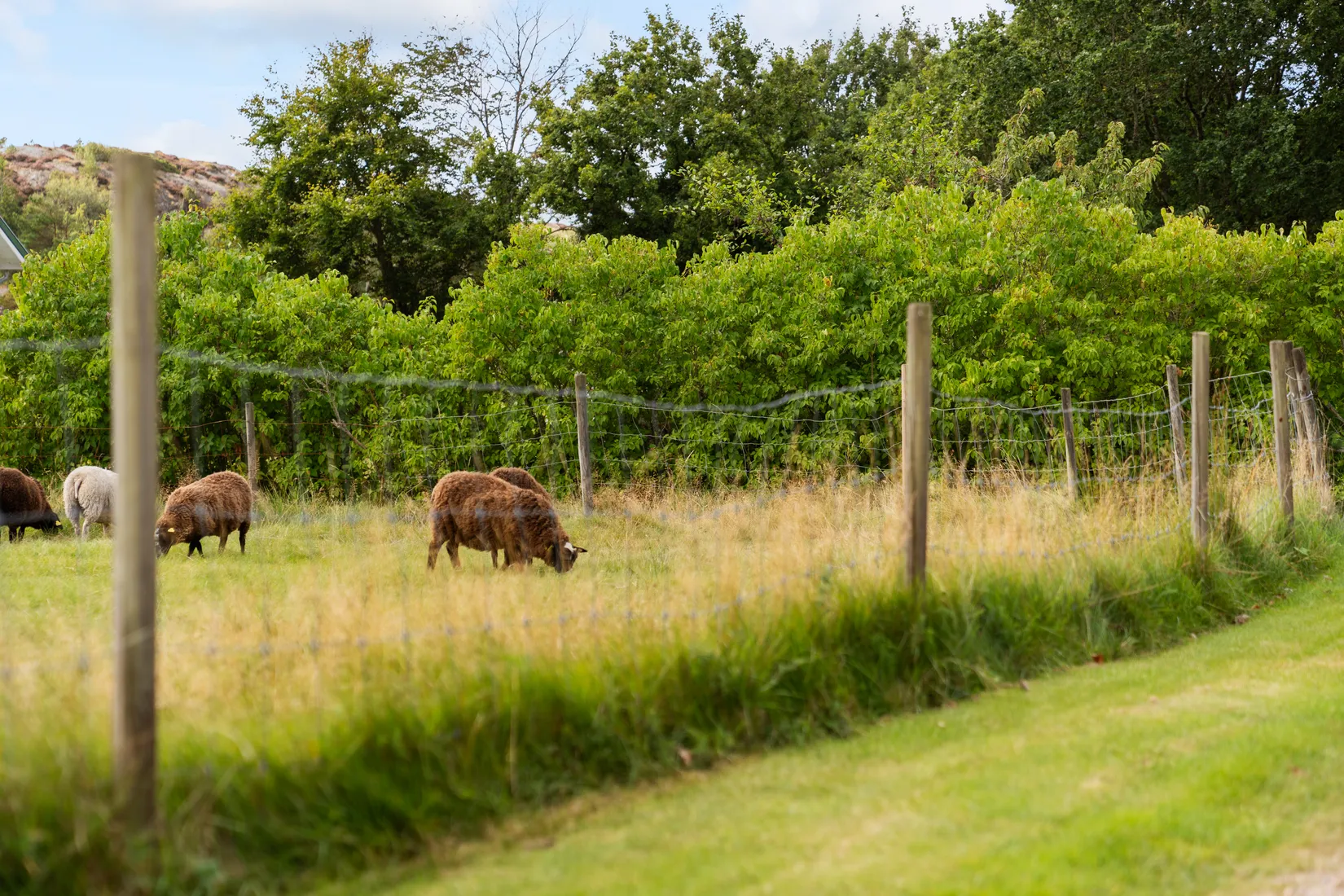 Fritidshus, Skaftö Koskär 372, Skaftö, Lysekil