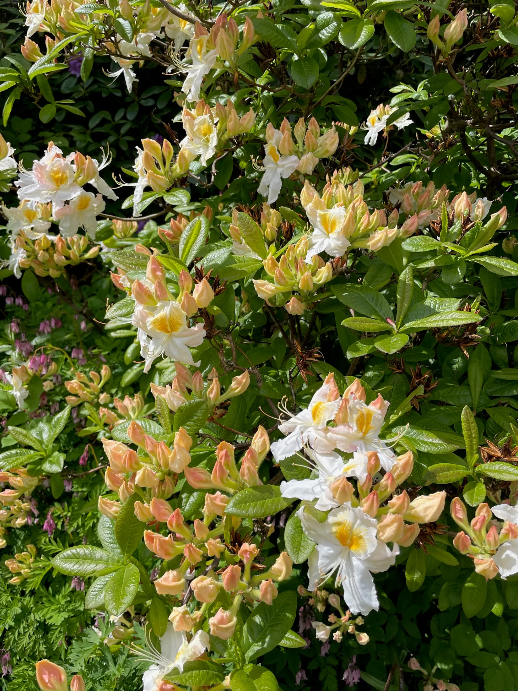 Villa, Hovås bautastensväg 14, Hovås, Göteborg