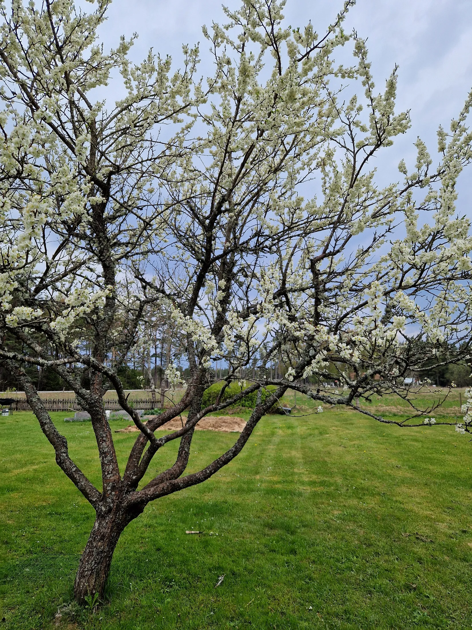 Villa, Hejde Häglajvs 436, Hejde - Mellersta Gotland, Gotland