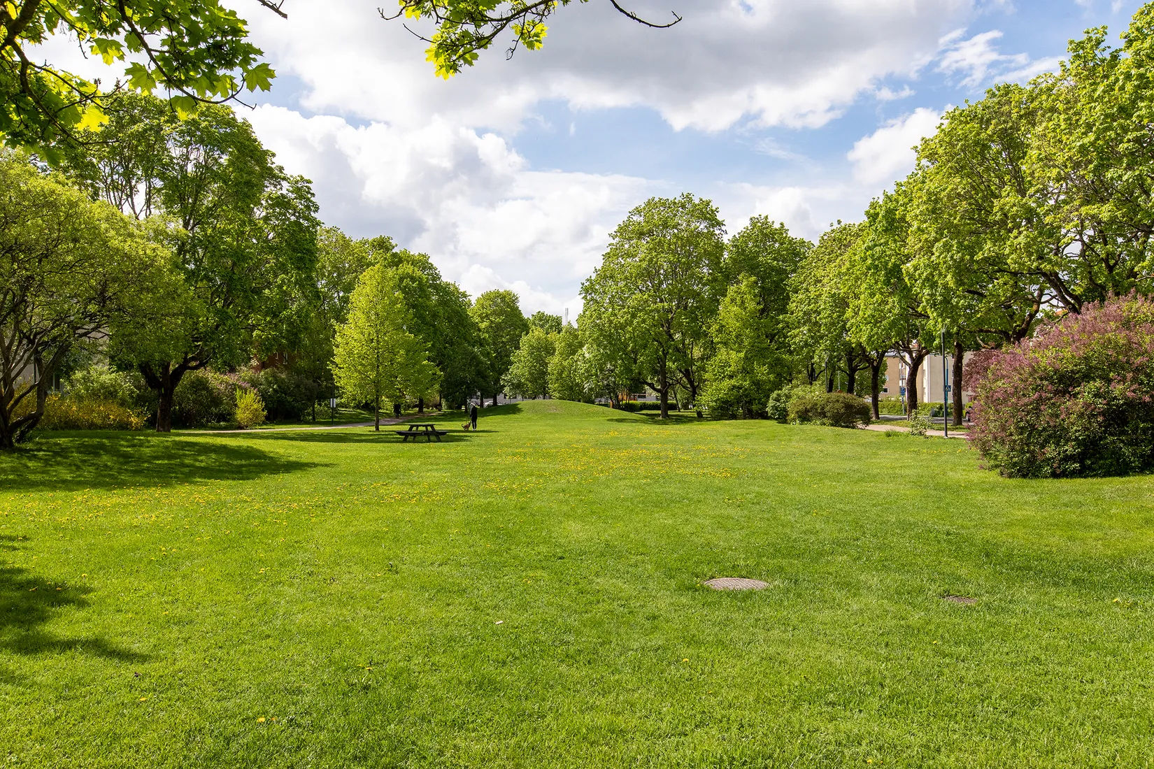 Bostadsrätt, Tegnérgatan 31B, Luthagen, Uppsala