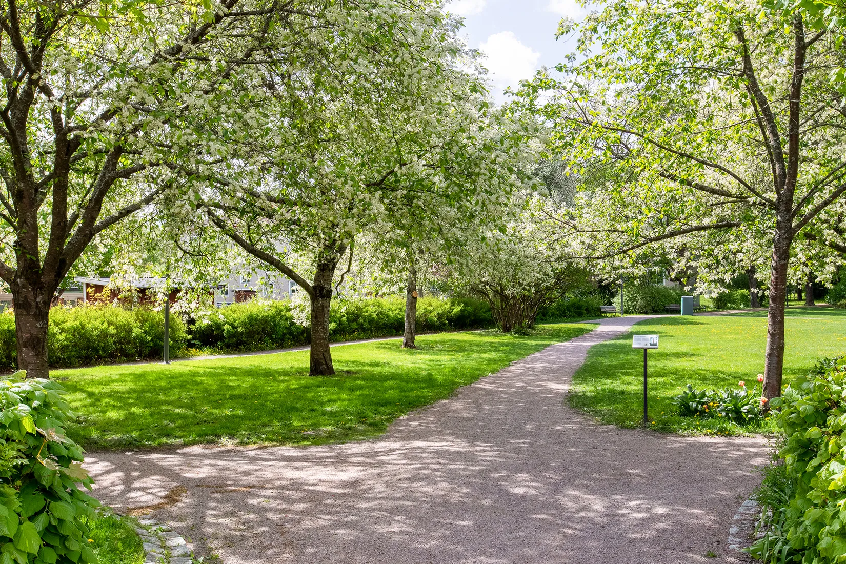 Bostadsrätt, Tegnérgatan 31B, Luthagen, Uppsala