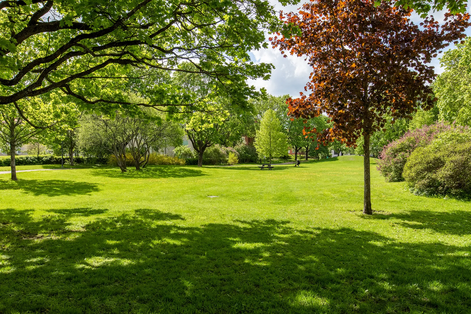 Bostadsrätt, Tegnérgatan 31B, Luthagen, Uppsala