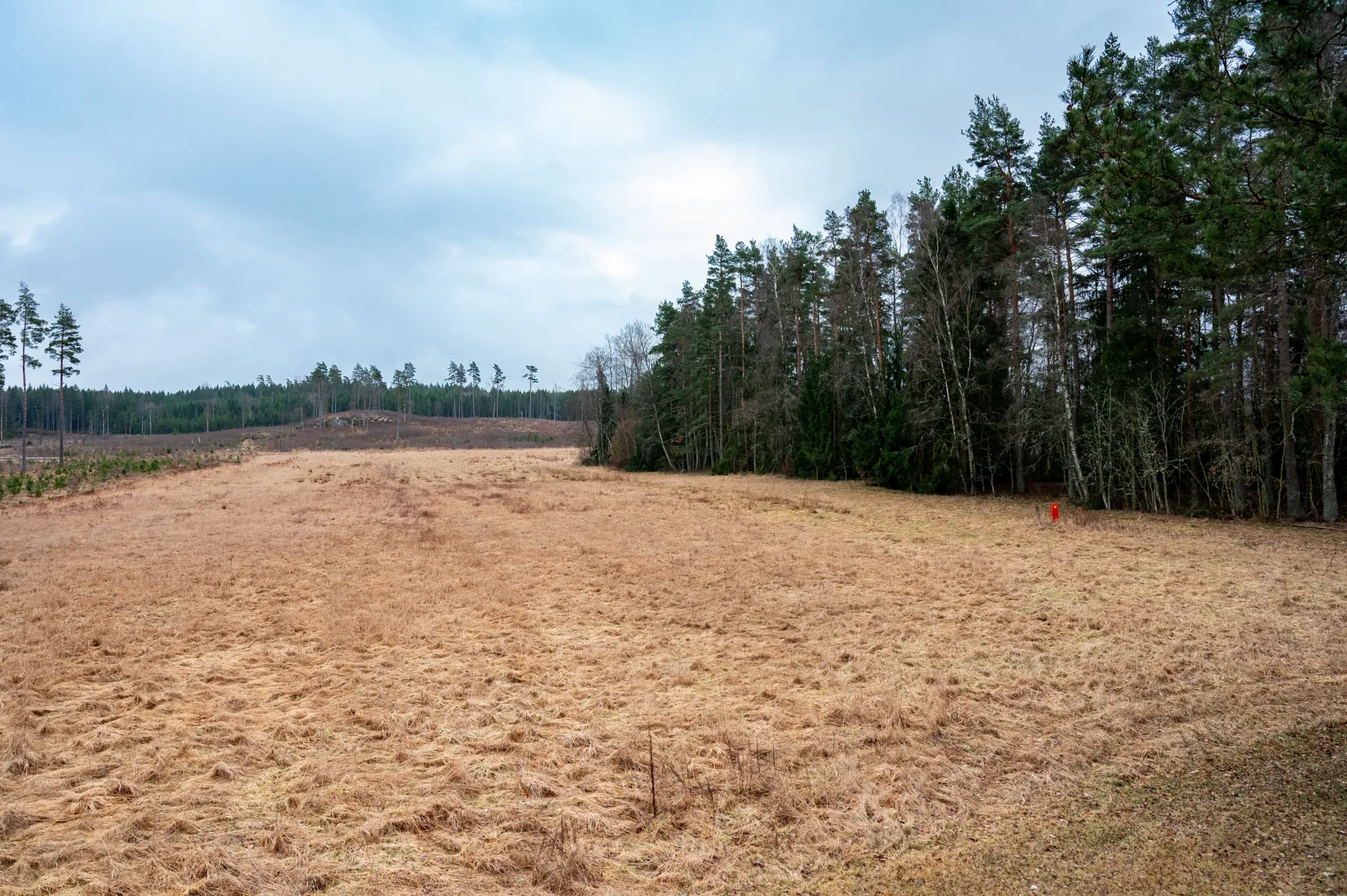 Gård/Skog, Edsvära Törnestorp 2, Edsvära, Vara