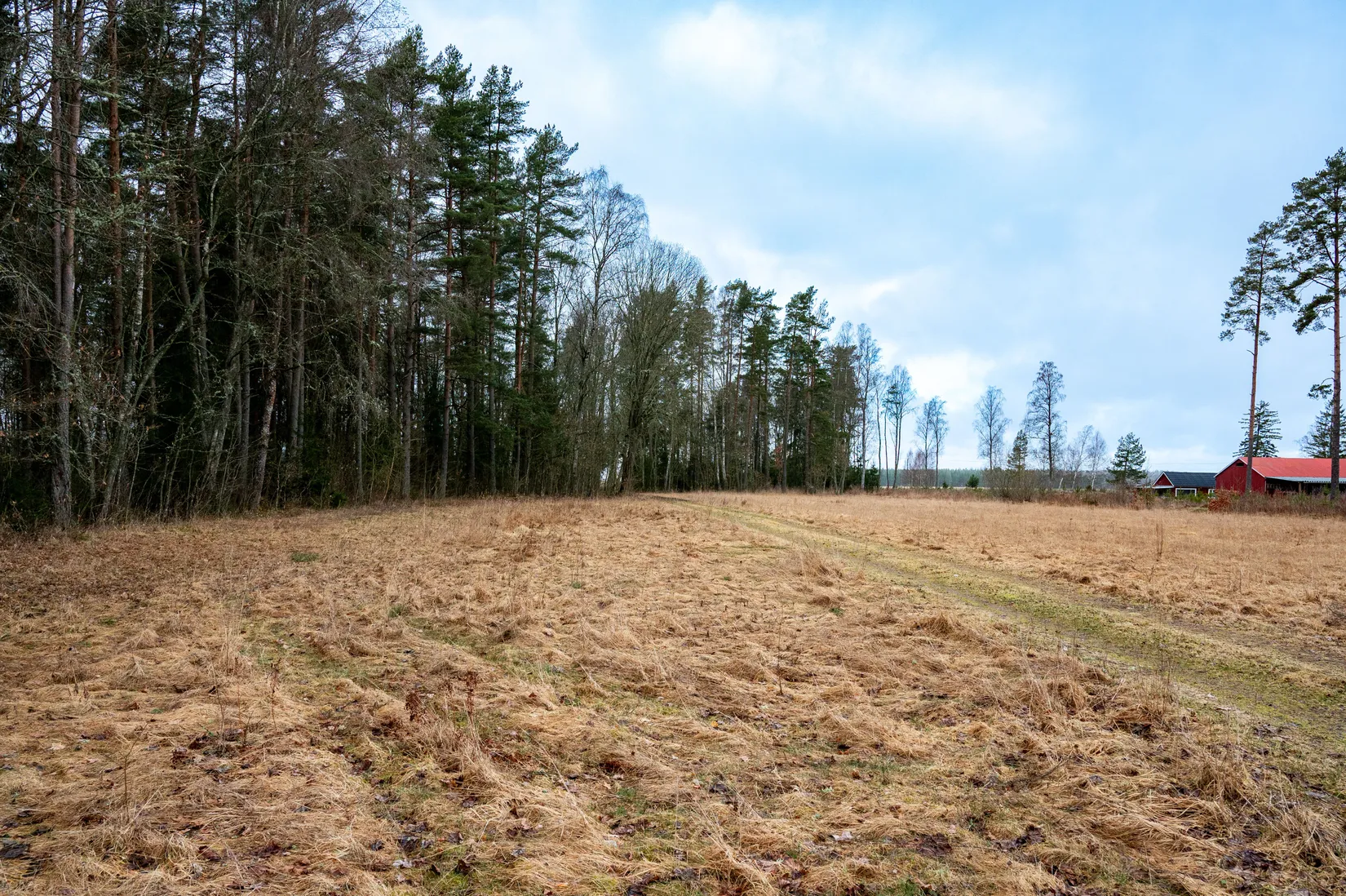 Gård/Skog, Edsvära Törnestorp 2, Edsvära, Vara