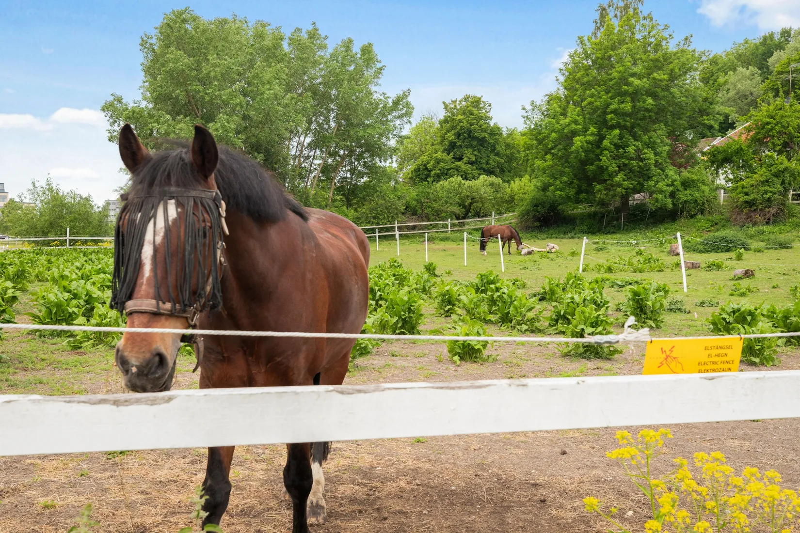 Bostadsrätt, Forskningsringen 82A, Ursvik, Sundbyberg