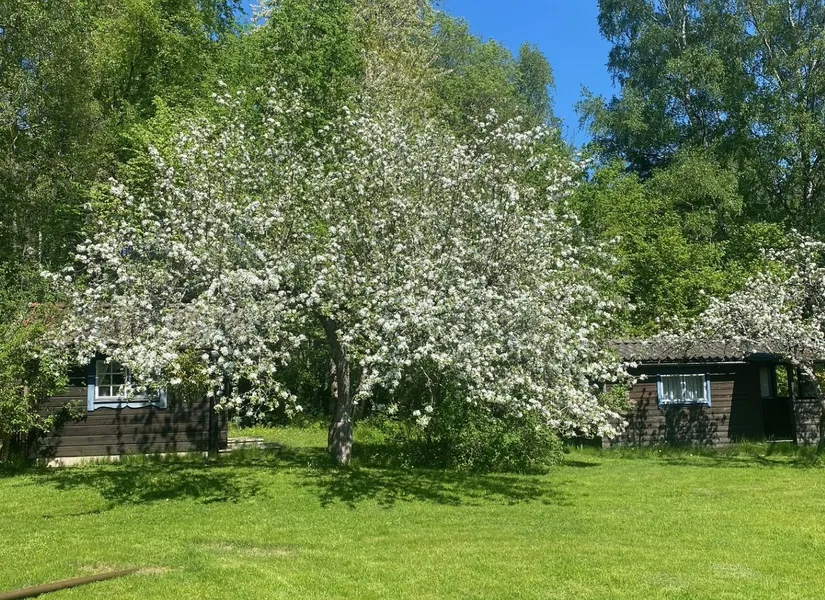 Fritidshus, Harholmsvägen 58, Kungsberga, Ekerö