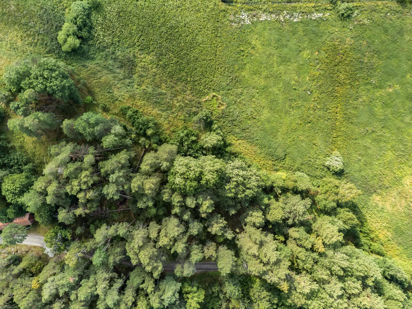 Tomt, Almunge-Gränby 305, Almunge, Uppsala