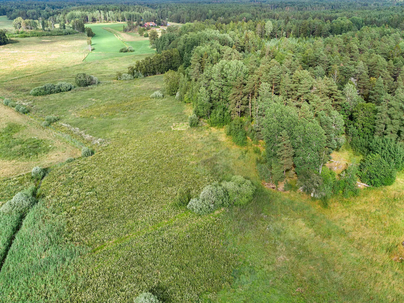 Tomt, Almunge-Gränby 305, Almunge, Uppsala