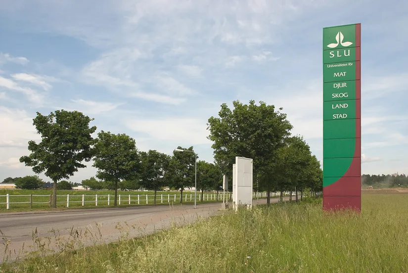 Villa, Radhus, Fältvägen 23, Norby, Uppsala