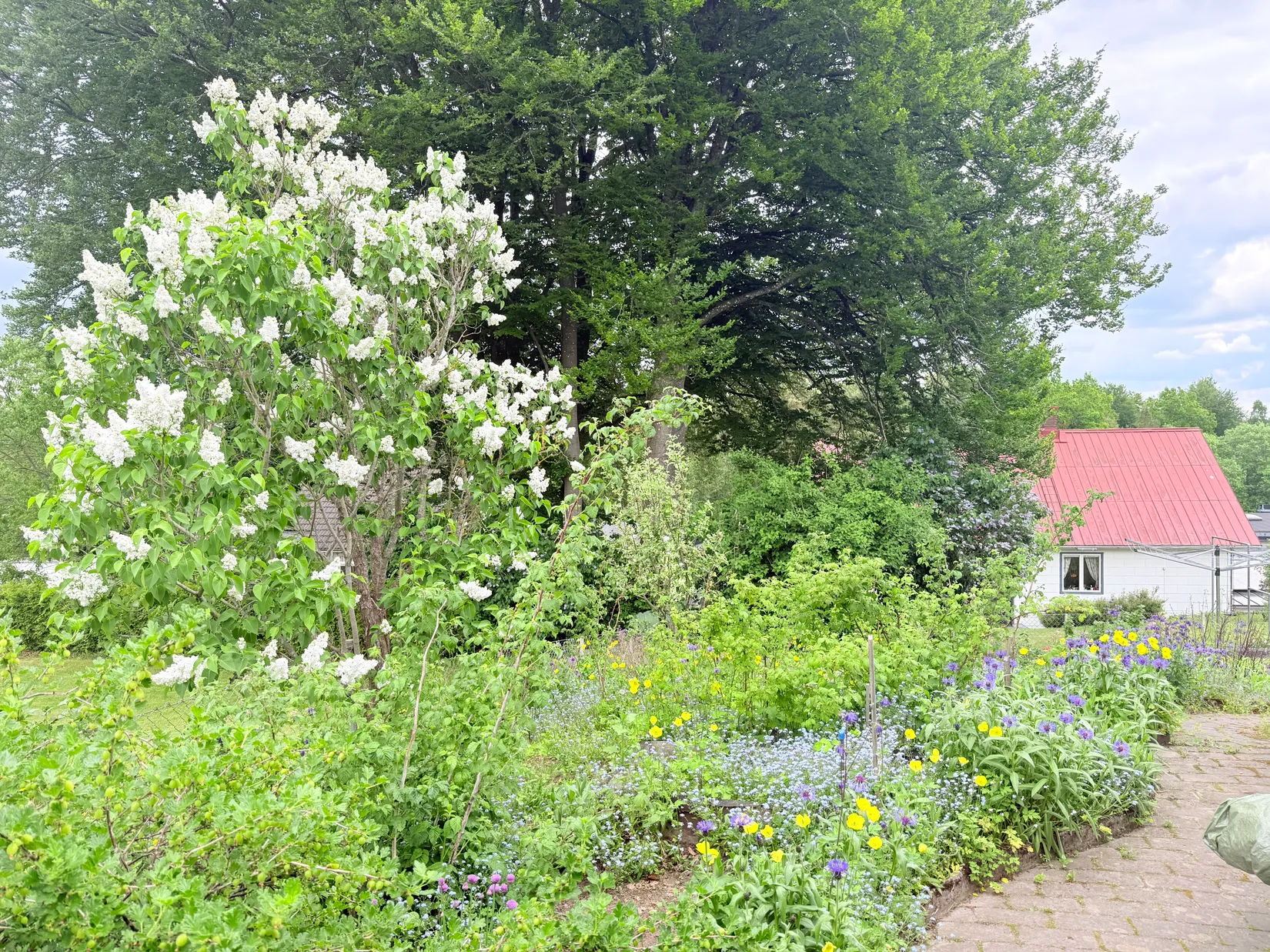 Villa, Vångavägen 12, Eket, Örkelljunga