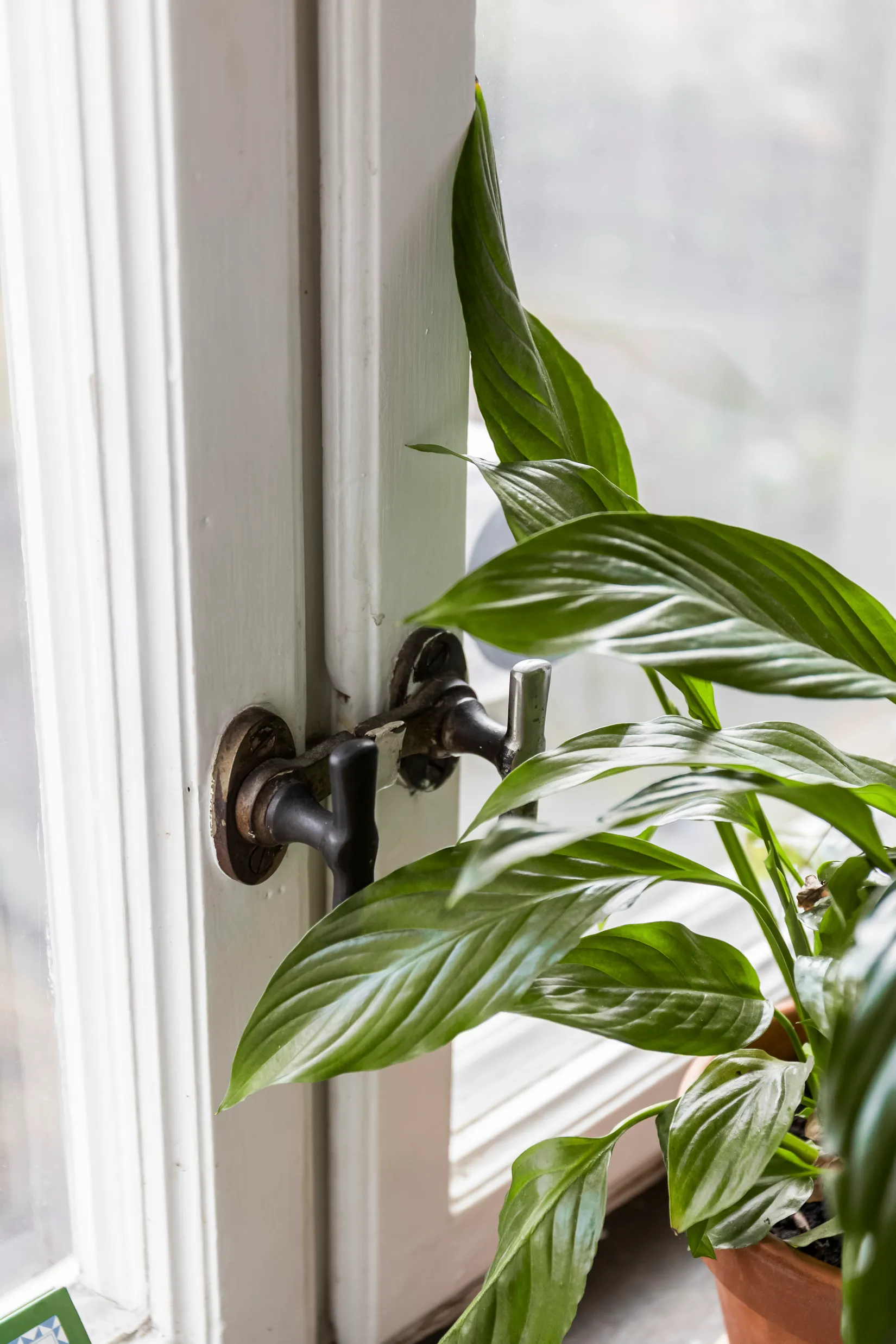 Bostadsrätt, Värnhemsgatan 6, Värnhem, Malmö