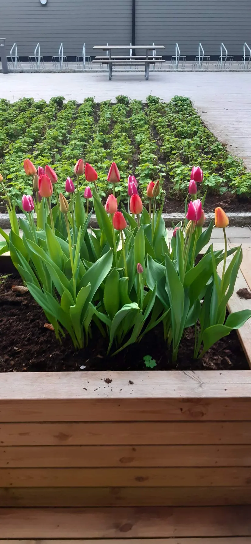 Bostadsrätt, Rurik Holms väg 11B, Floda-Centralt, Lerum