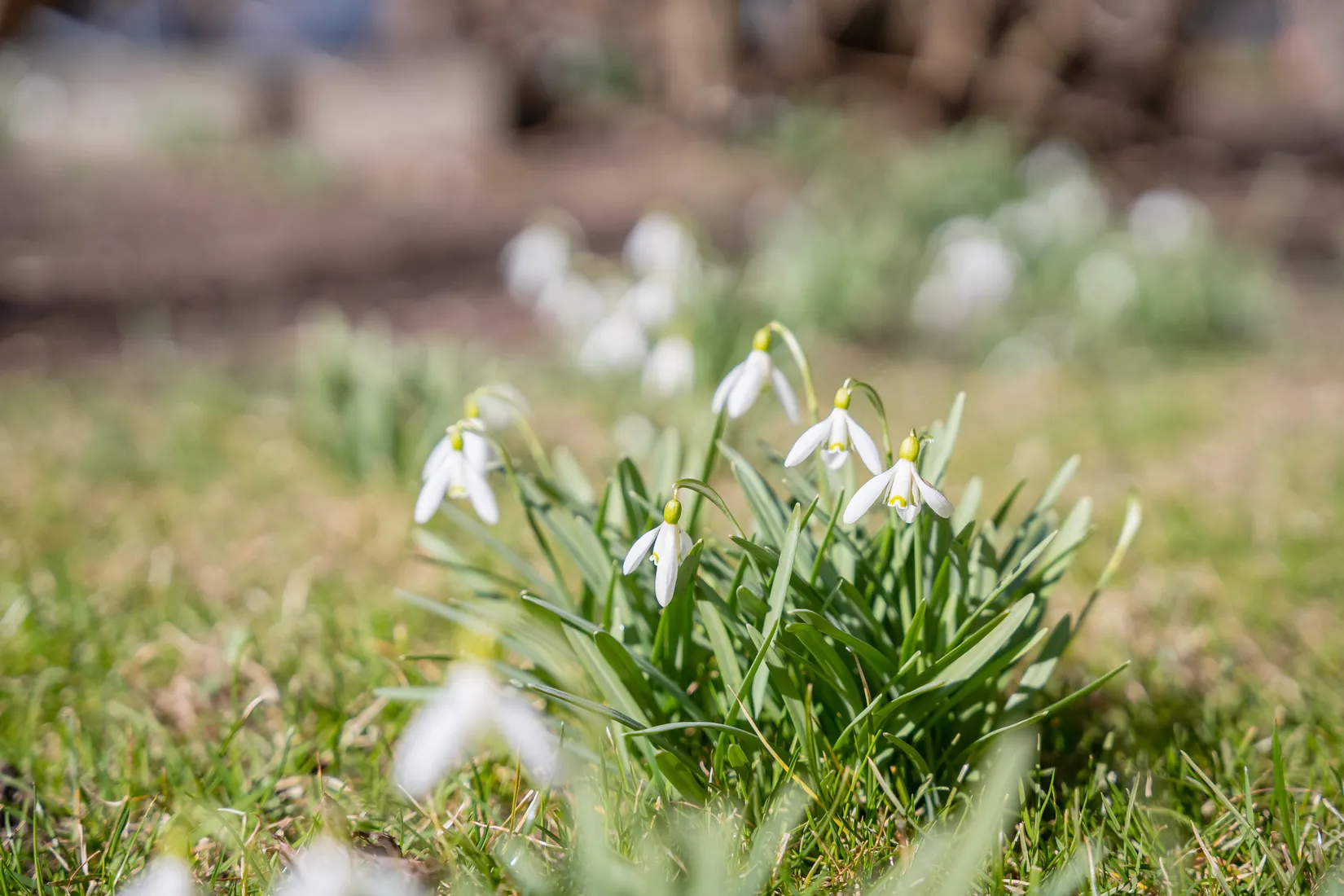 Bostadsrätt, Tingstagatan 4A, Oxelbergen, Norrköping