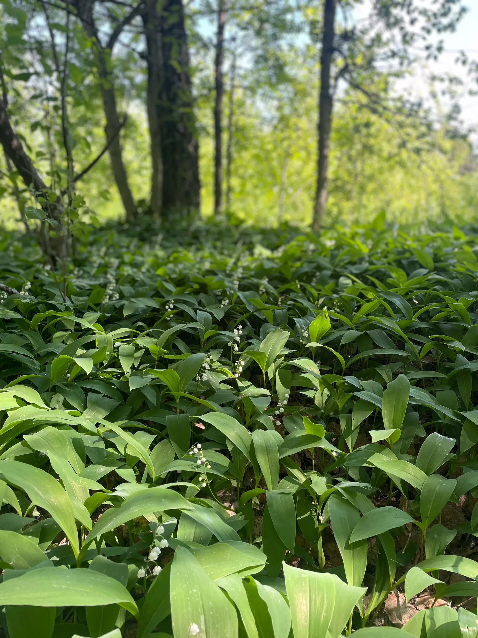 Villa, Getebol 130, Getebol, Karlstad