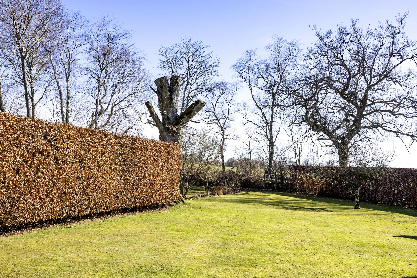 Villa, Kristinagatan 1, Hörby
