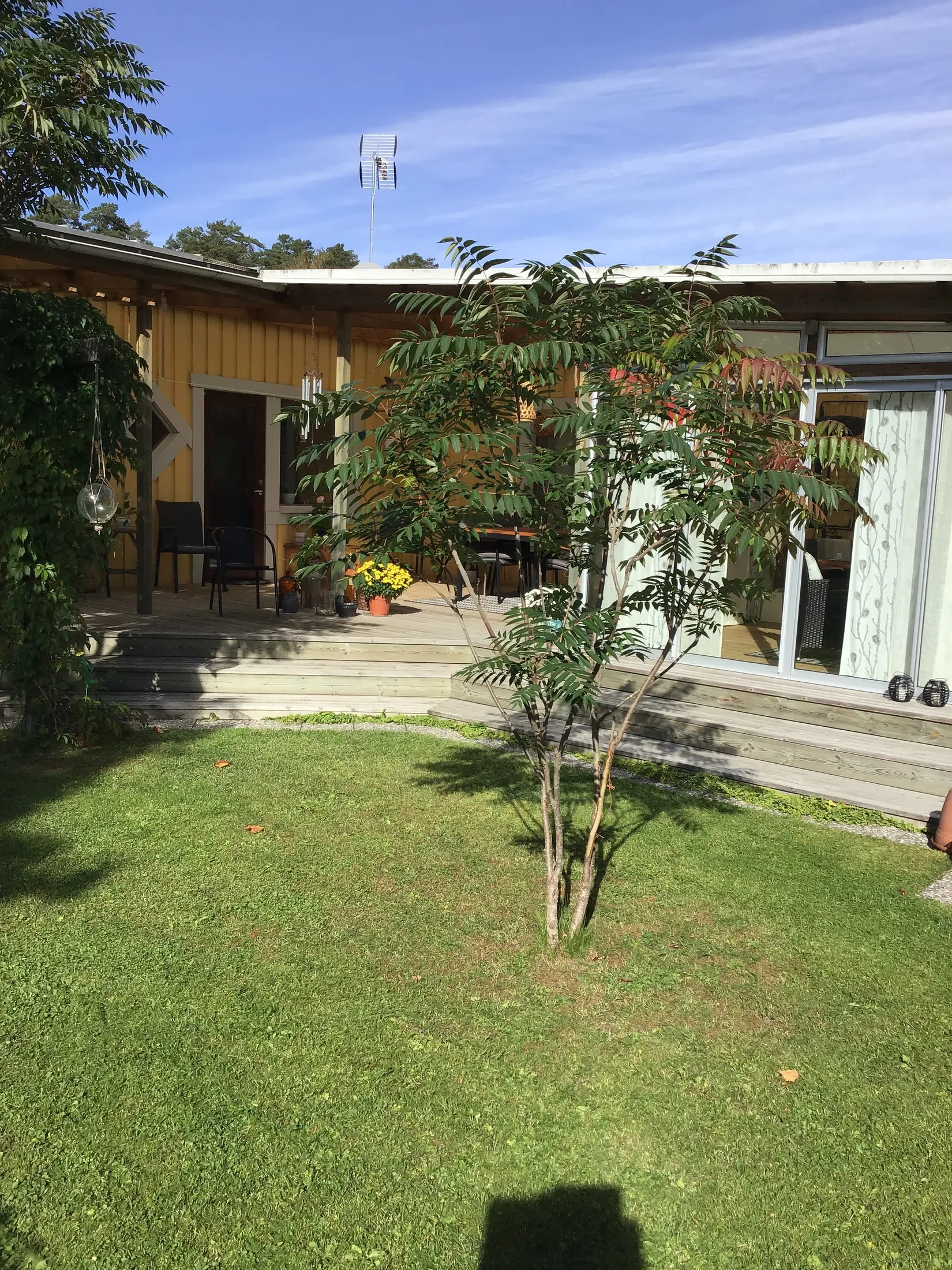 Villa, Arkitektvägen 3, Vänge, Uppsala