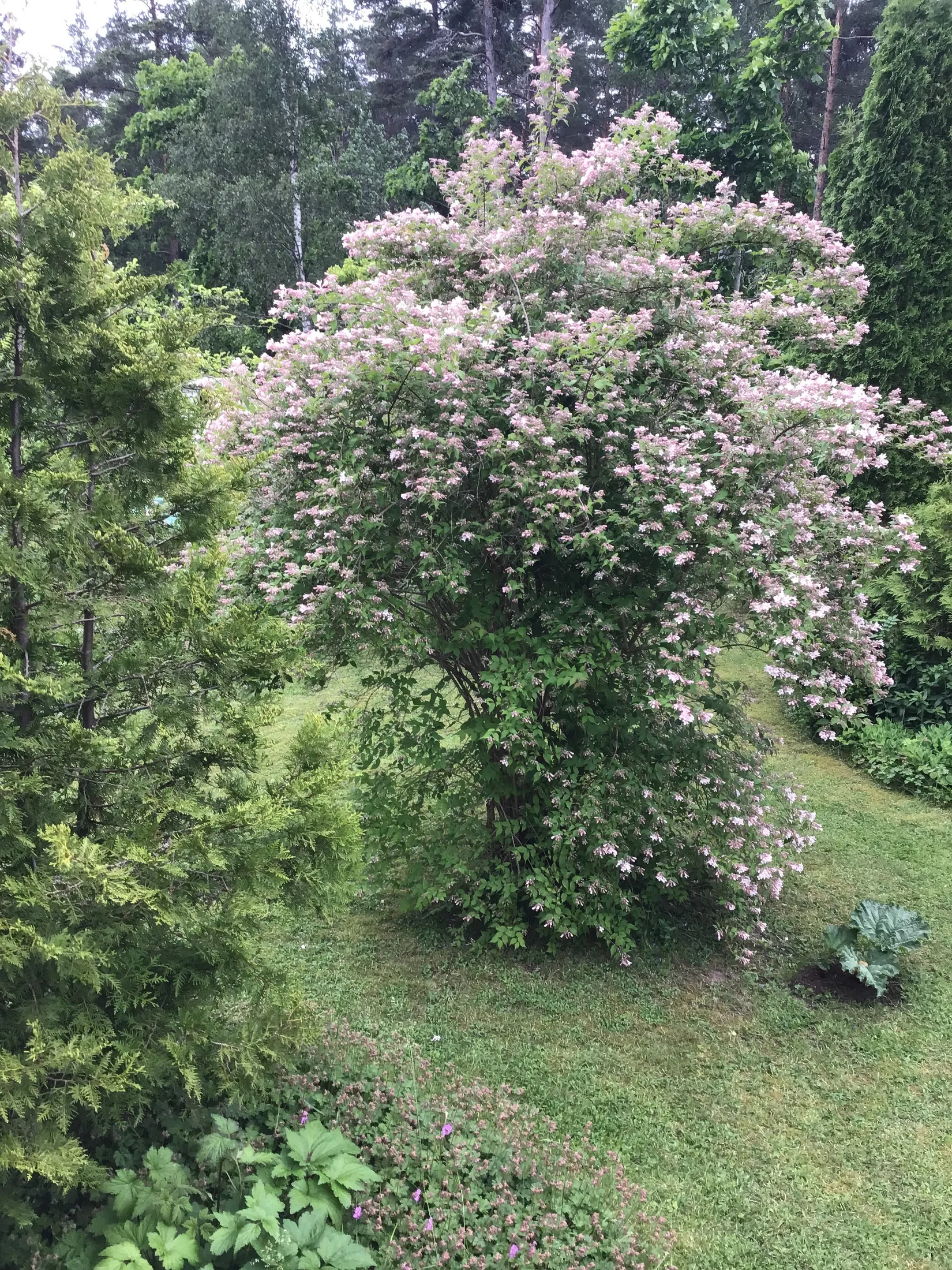 Villa, Arkitektvägen 3, Vänge, Uppsala