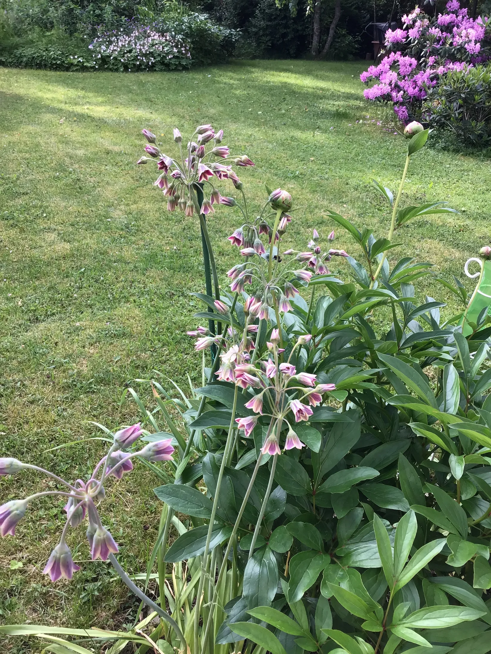 Villa, Arkitektvägen 3, Vänge, Uppsala