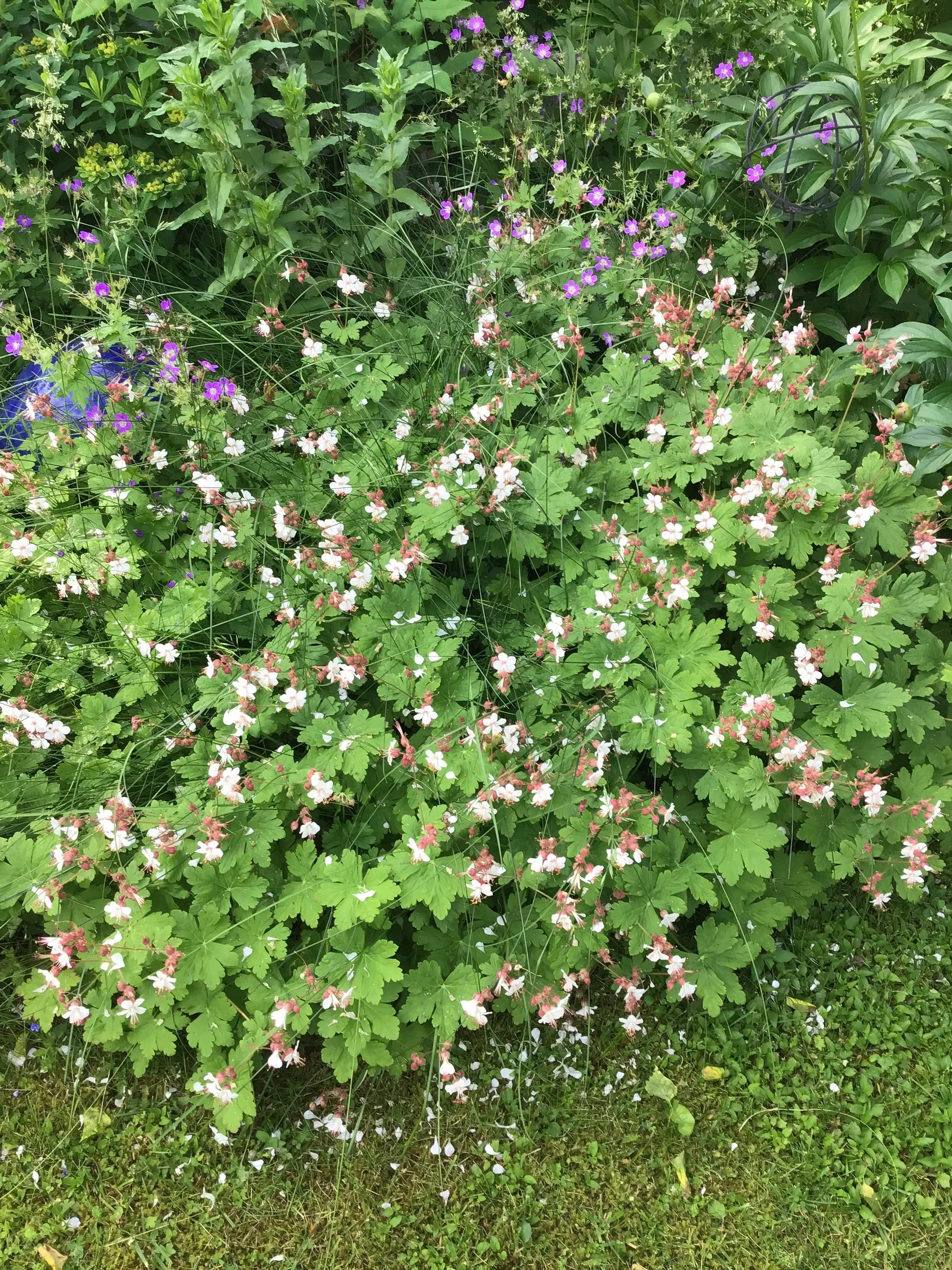 Villa, Arkitektvägen 3, Vänge, Uppsala