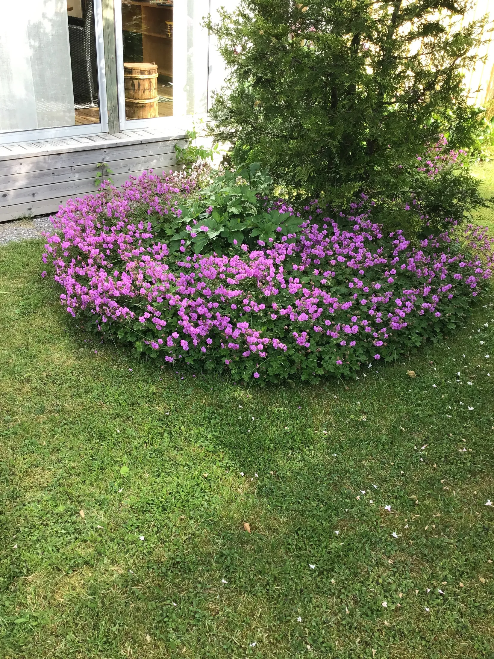 Villa, Arkitektvägen 3, Vänge, Uppsala