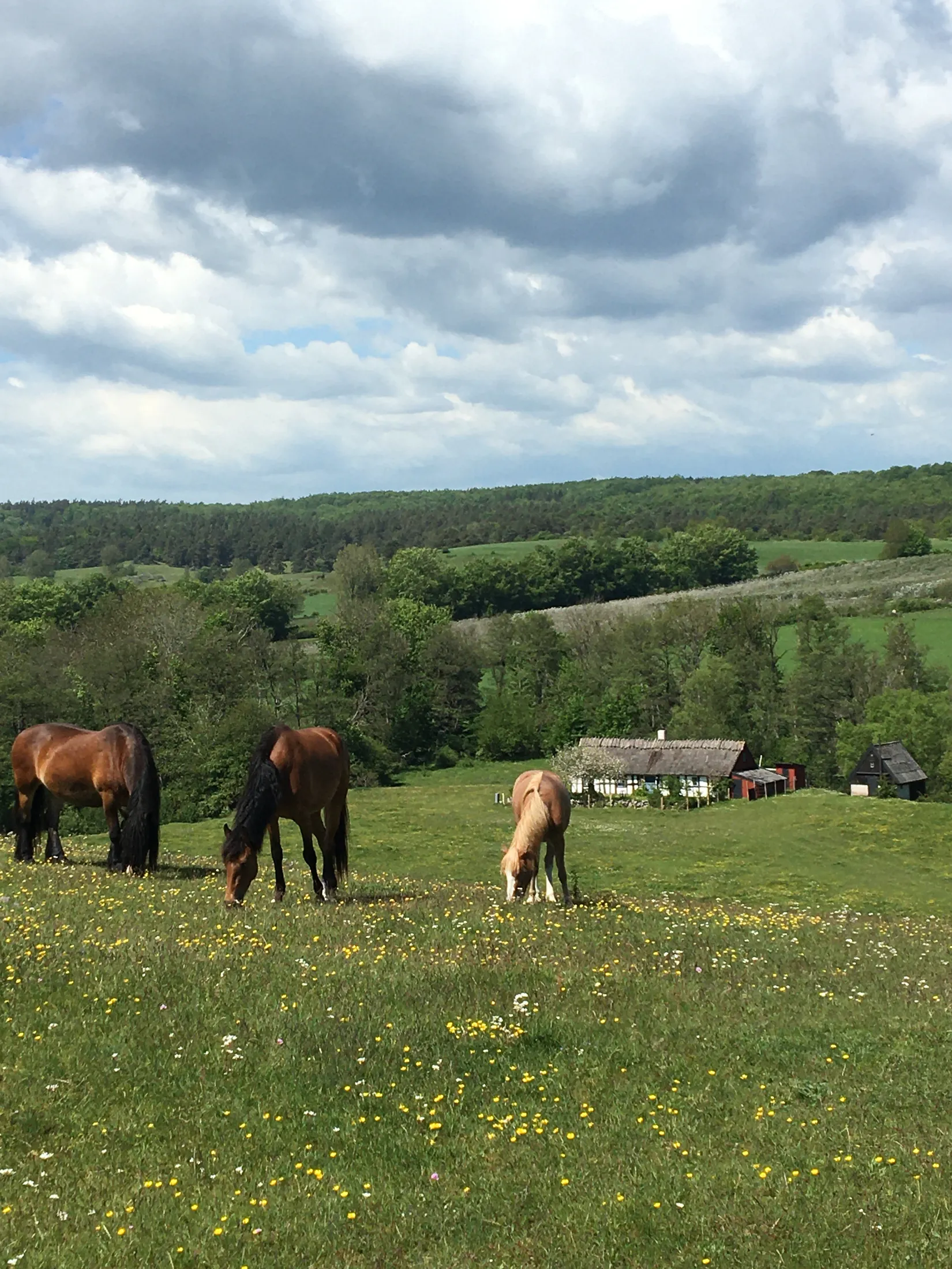 Fritidshus, Havängsvägen 15, Haväng, Simrishamn