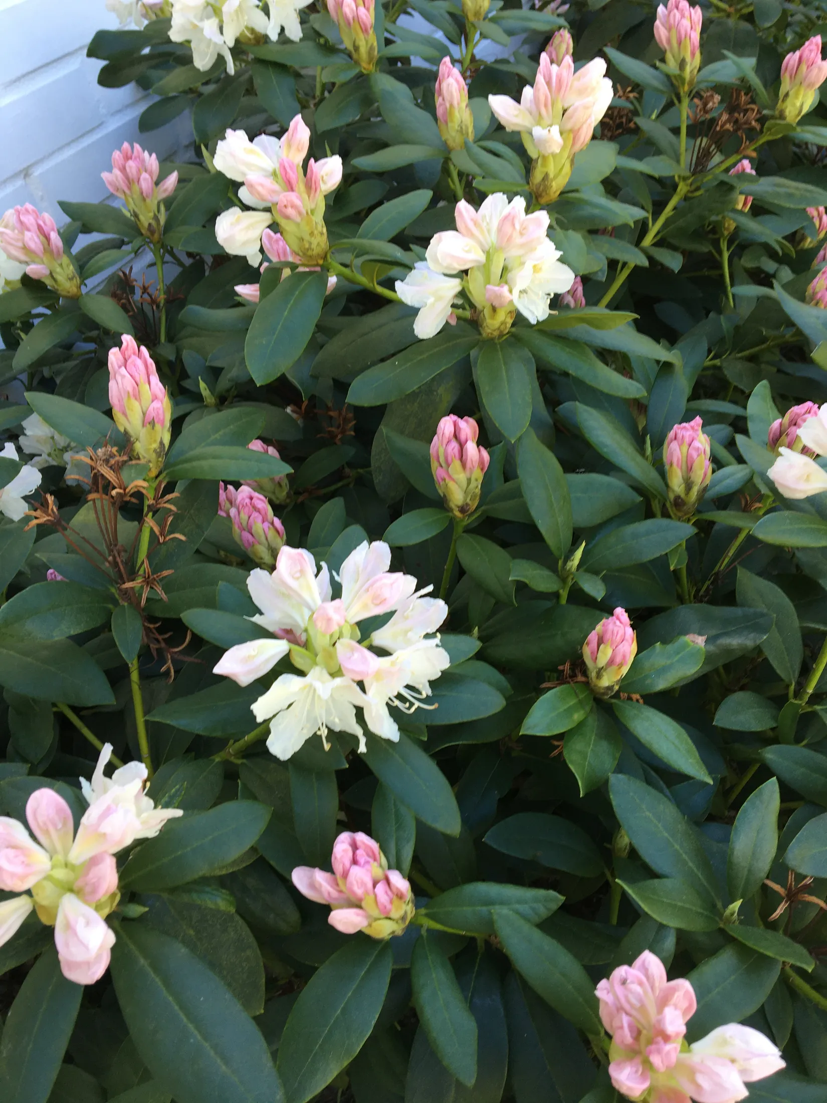 Fritidshus, Havängsvägen 15, Haväng, Simrishamn