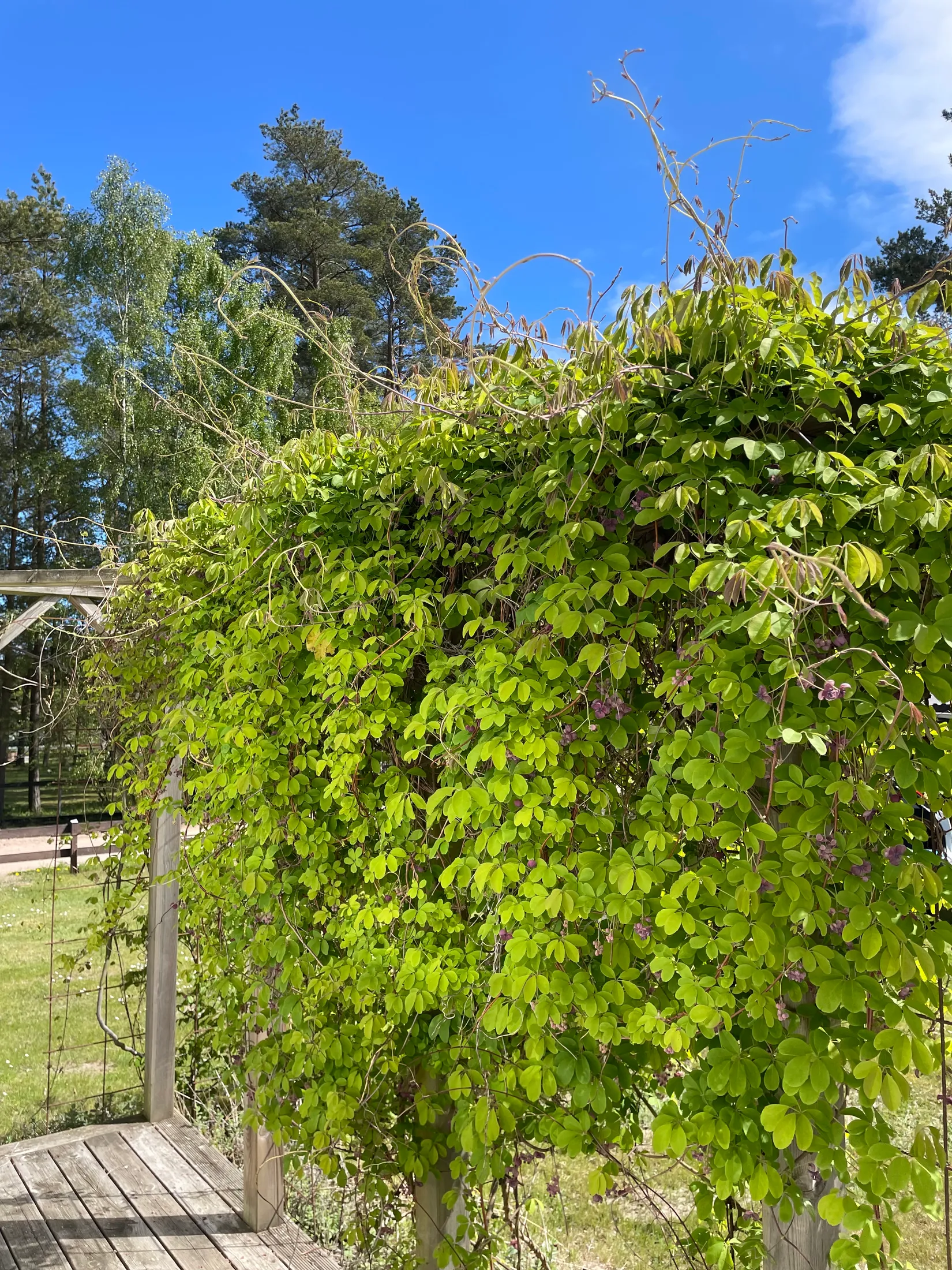 Fritidshus, Havängsvägen 15, Haväng, Simrishamn