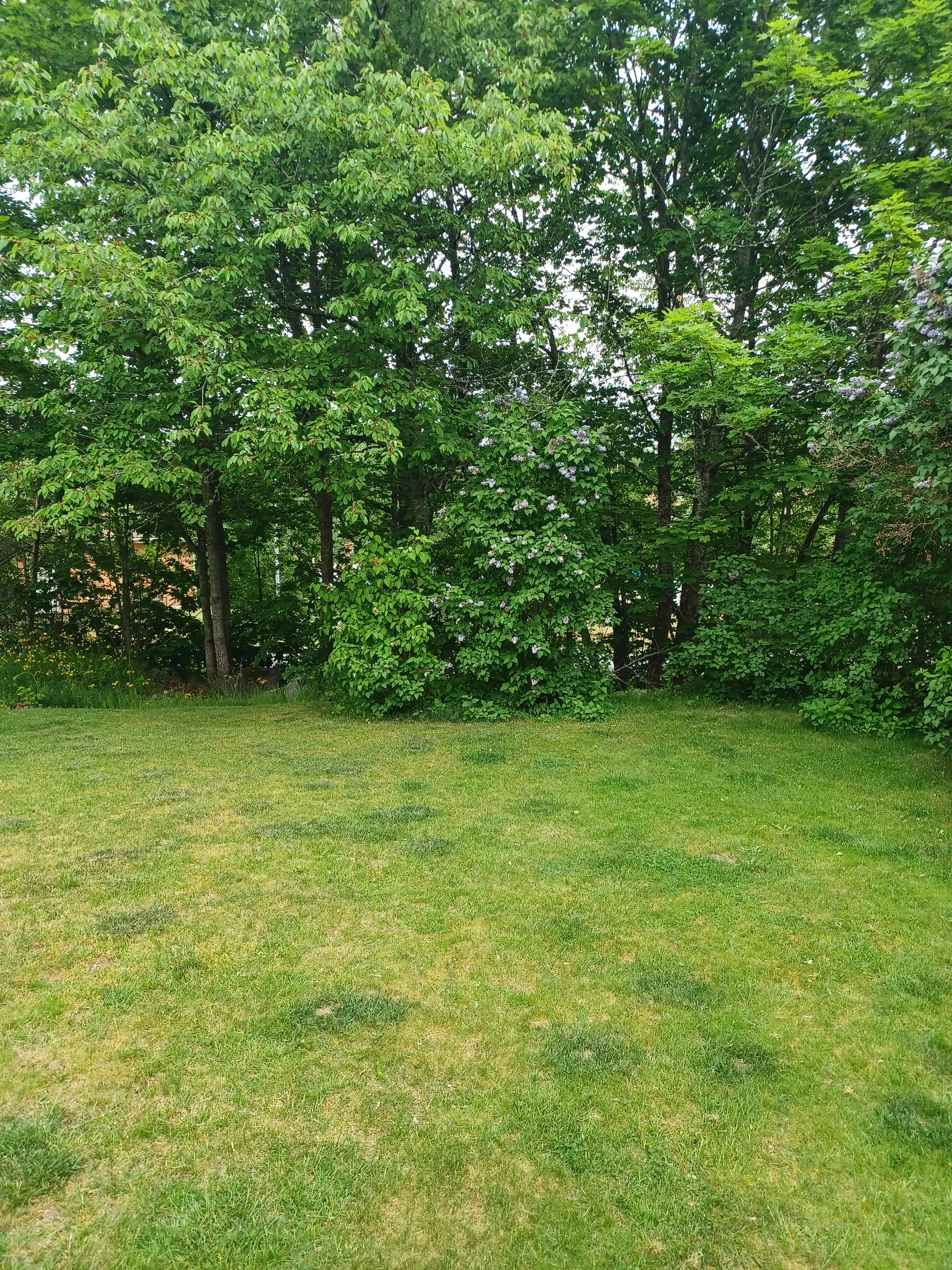 Bostadsrätt, Radhus, Elviragatan 1, Figeholm, Oskarshamn