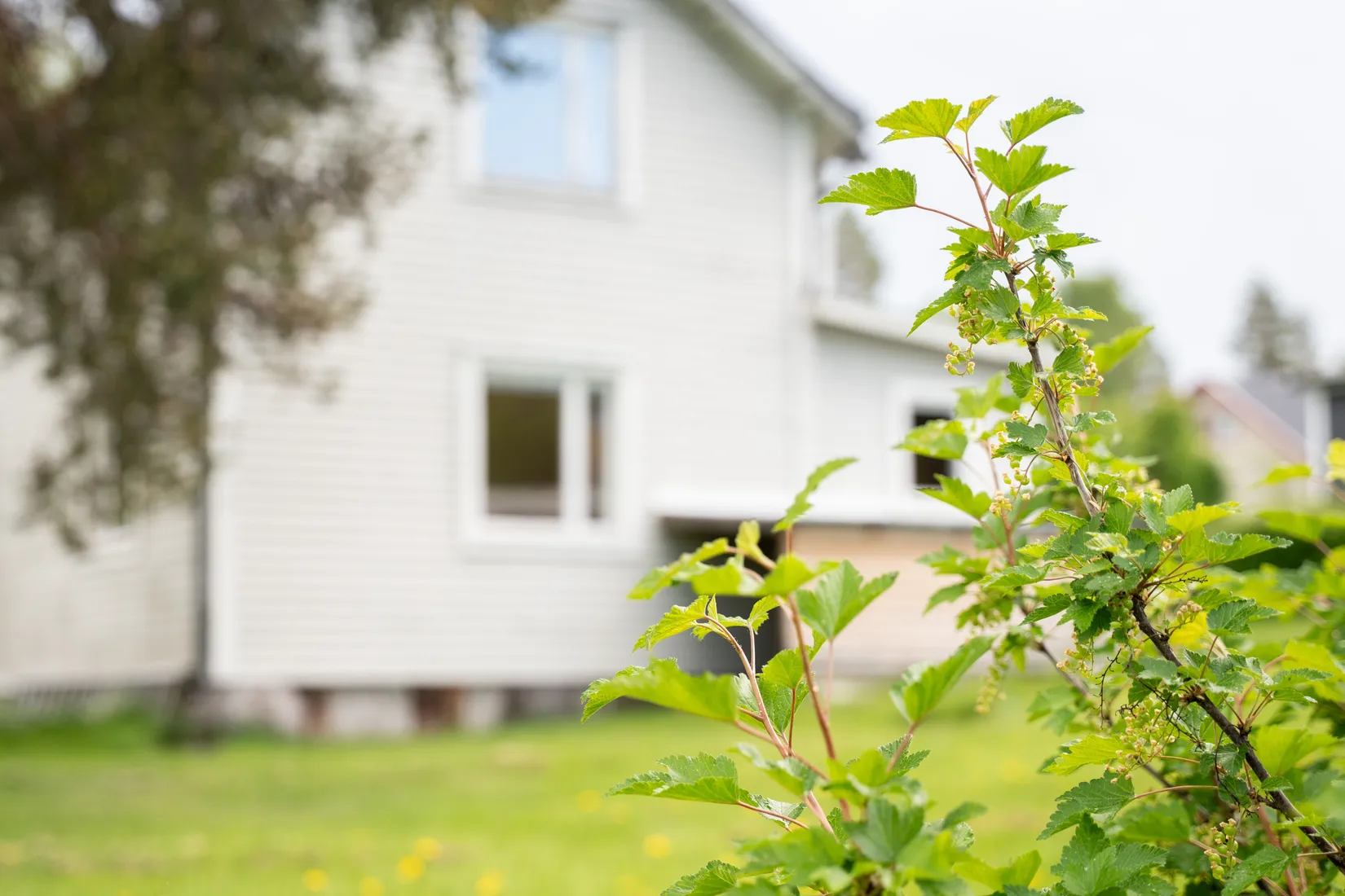 Villa, Fägatan 11, Sollefteå
