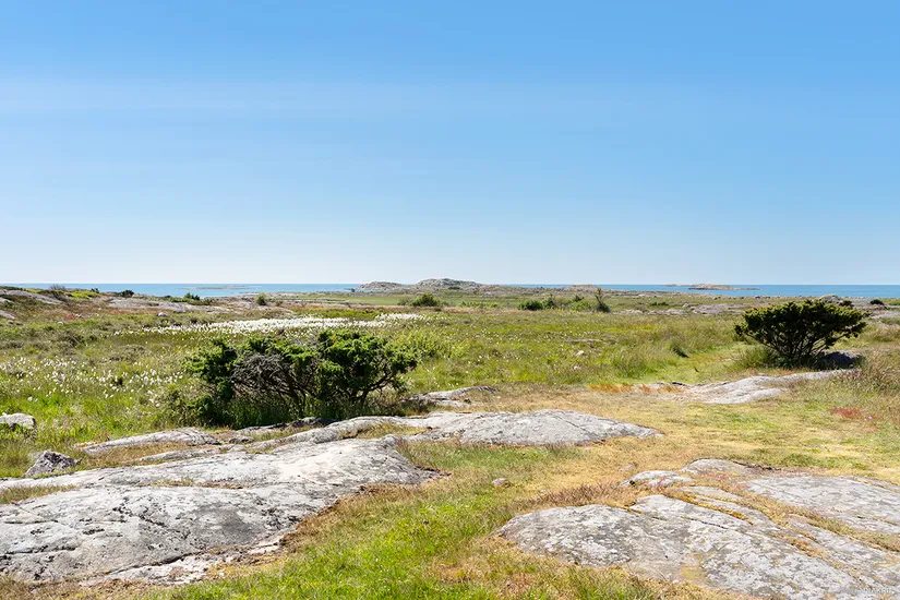 Tomt, Årnäsvägen 23, Espevik, Varberg