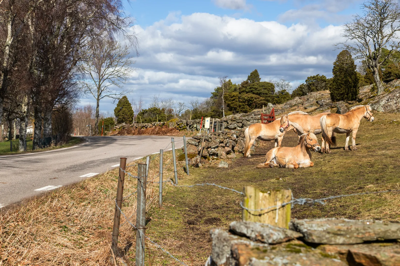 Tomt, Årnäsvägen 23, Espevik, Varberg