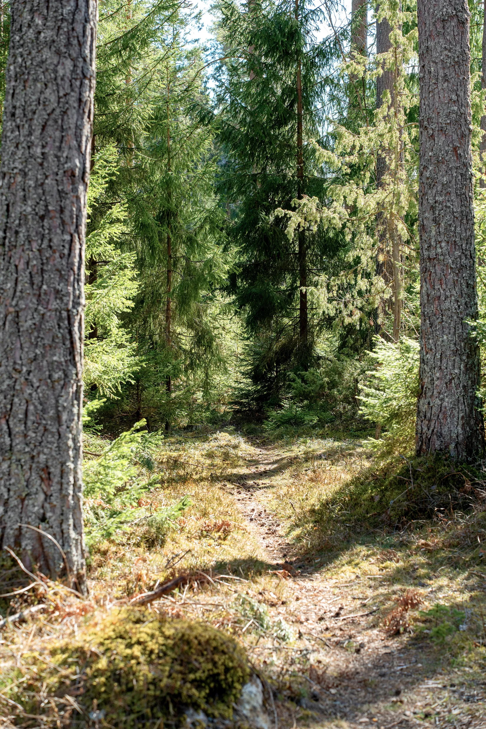Fritidshus, Ripsa Nybygget 1, Ripsa, Nyköping