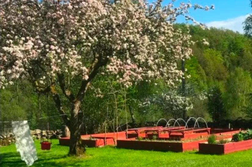 Fritidshus, Adress dold tillsvidare, Mark