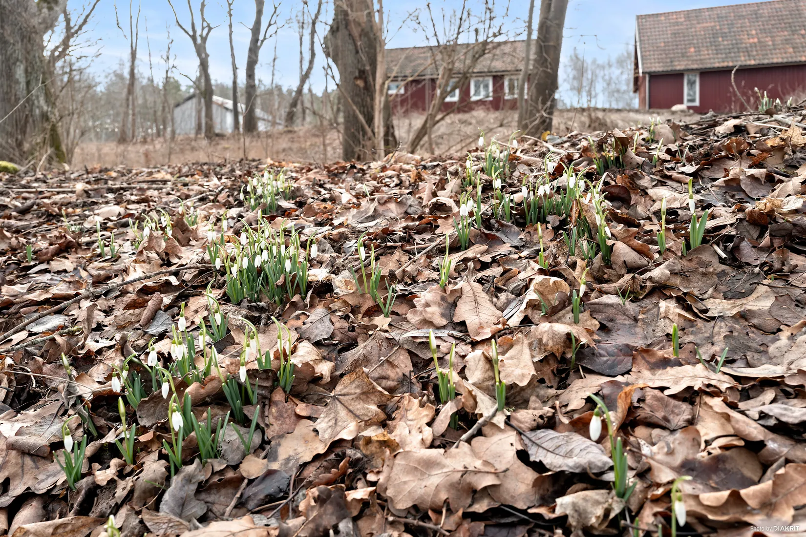 Villa, Lundgrens väg 4B, Tollarp, Kristianstad