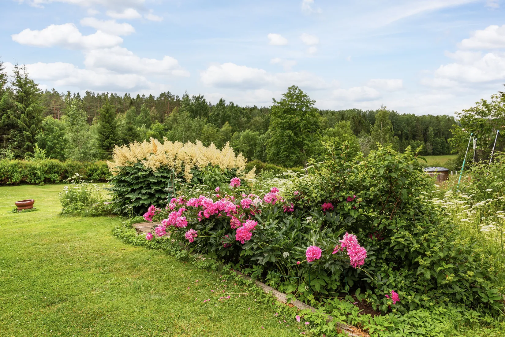 Gård/Skog, Nederberge 78, Nederberge, Hudiksvall
