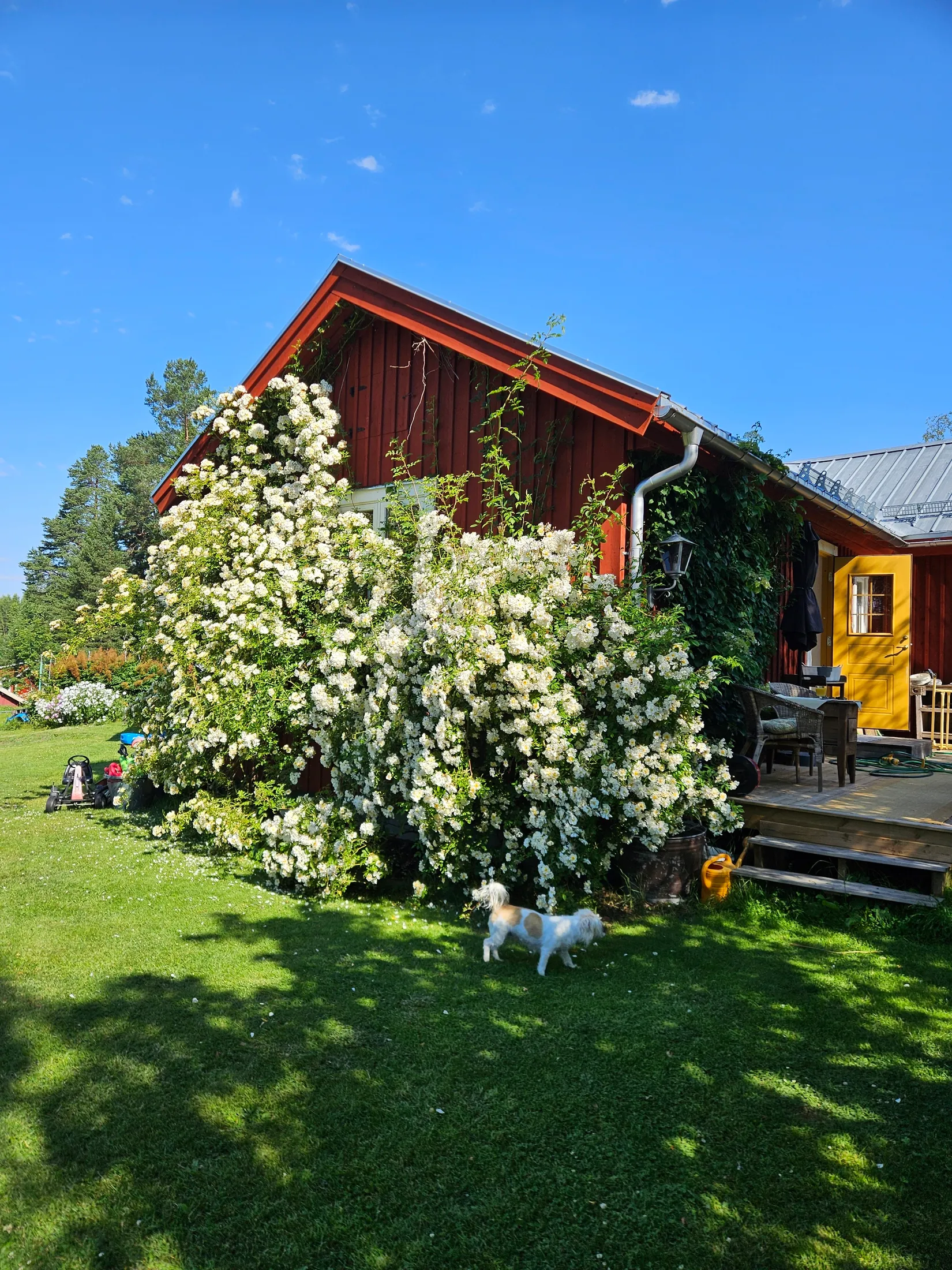 Gård/Skog, Nederberge 78, Nederberge, Hudiksvall