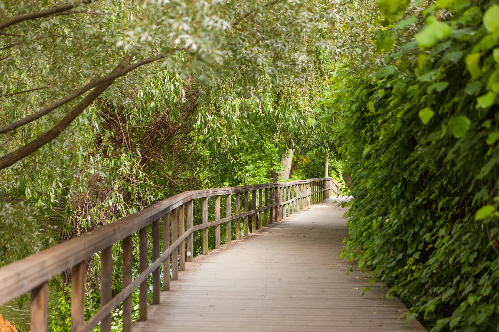 Bostadsrätt, Gambrinusgatan 6, Kungsholmen, Stockholm