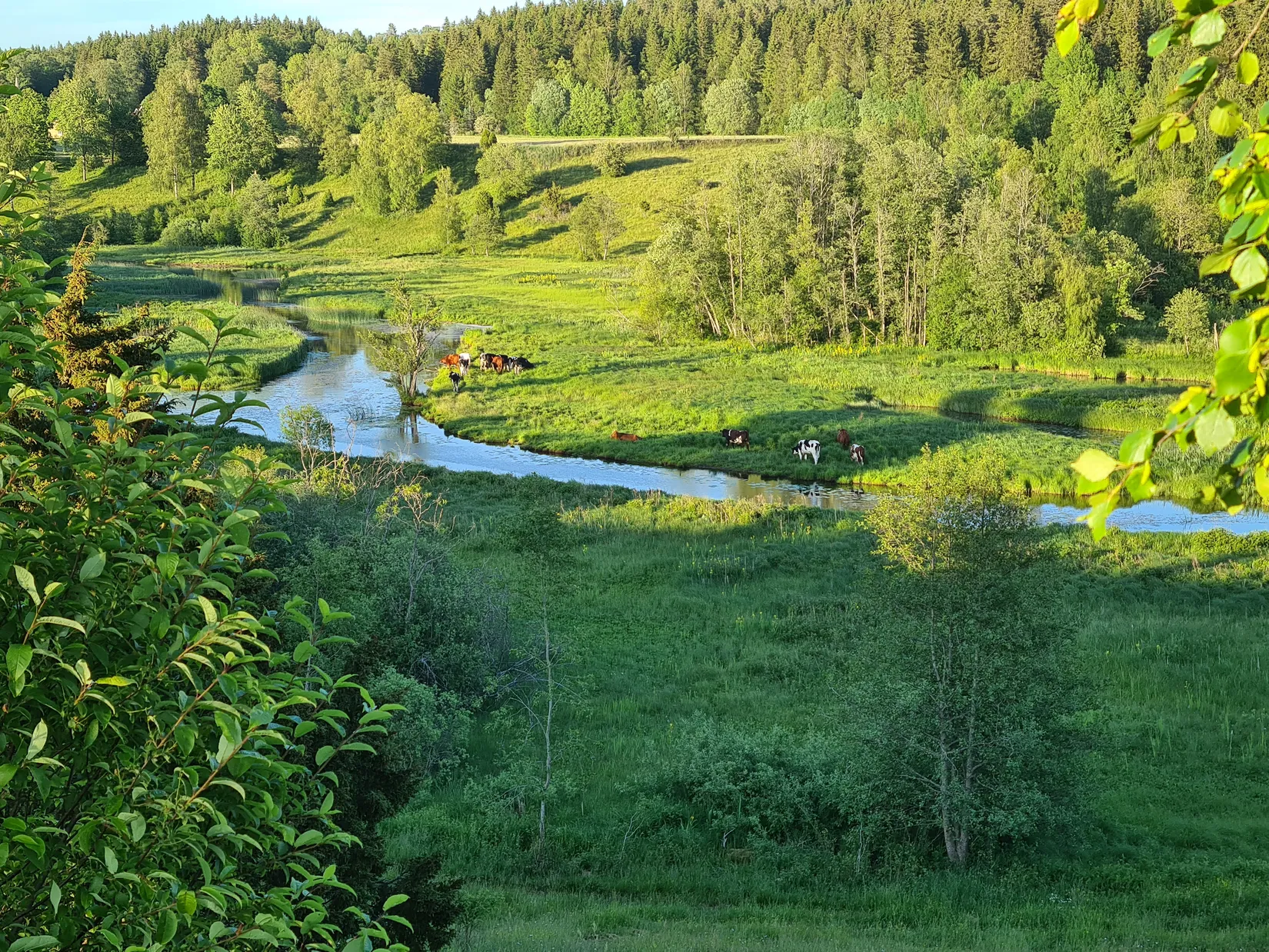 Villa, Ågatan 9, Dalum, Ulricehamn
