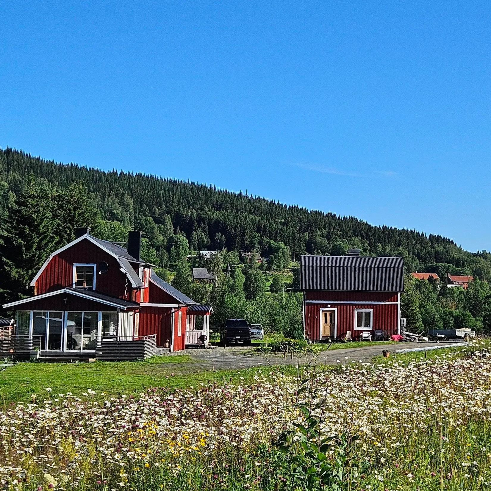 Gård/Skog, Rista 172, Södra Hålland, Åre