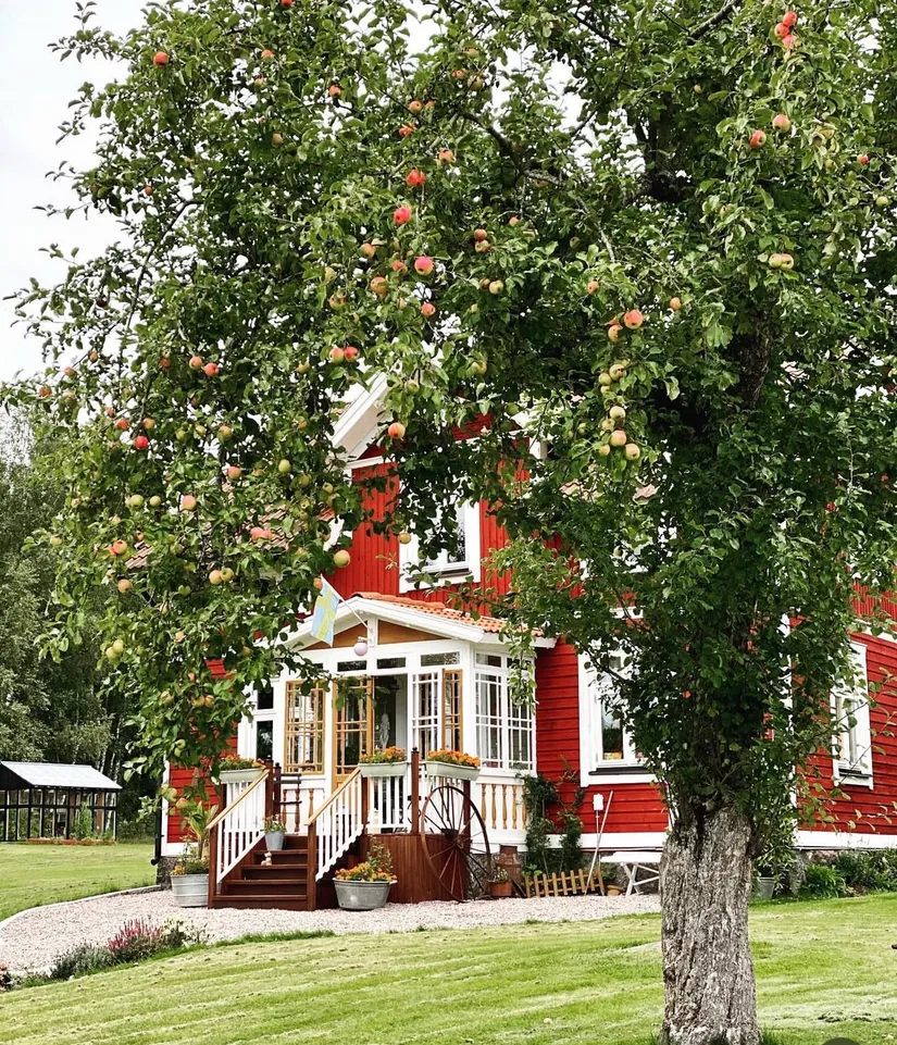 Gård/Skog, Marieberg 805, Åsbro, Askersund
