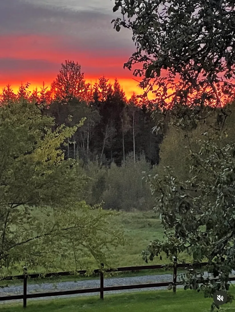 Gård/Skog, Marieberg 805, Åsbro, Askersund
